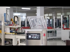 DUOQI DZ-400 電気制御付き単室真空包装機