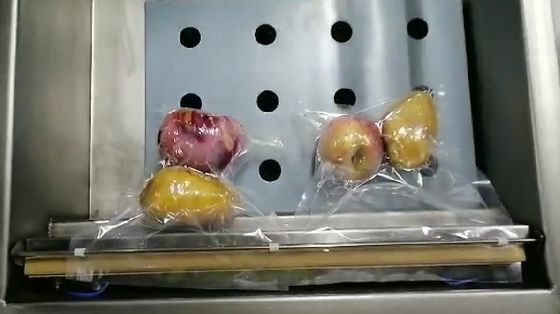 ミクロ コンピューター に プログラム さ れ た 肉 野菜 果物 の 快速 密封 器